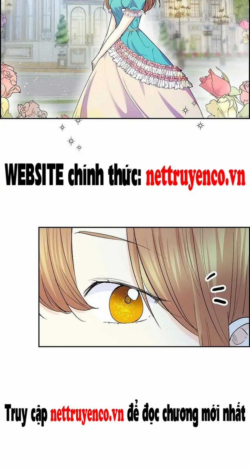 For stella - Vì Stella Chapter 50 trang 50