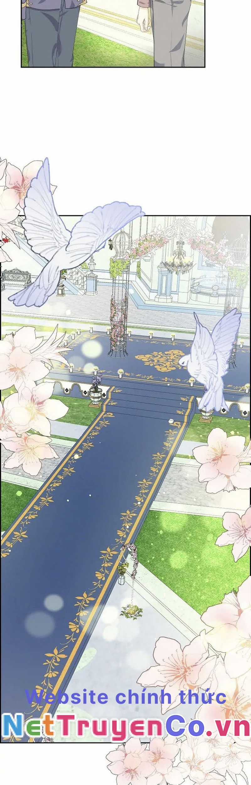 For stella - Vì Stella Chapter 51 trang 26