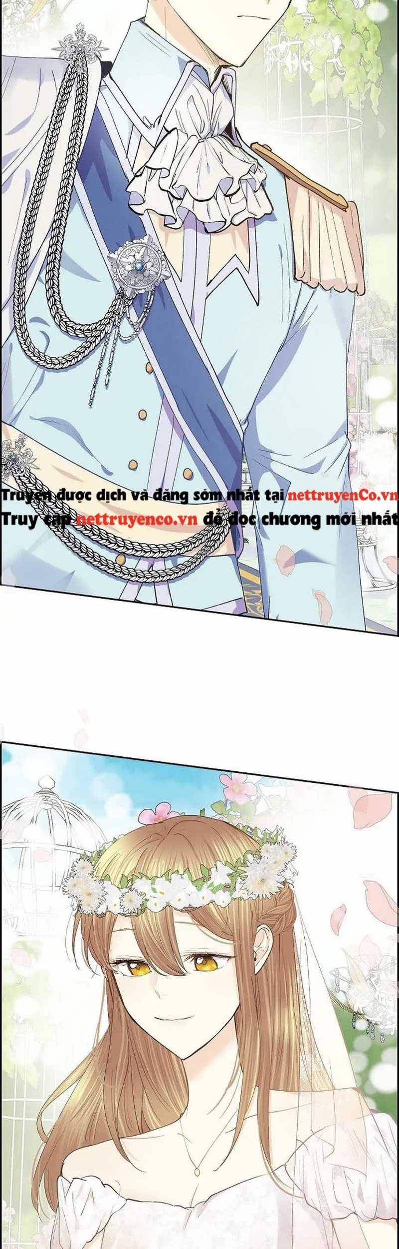 For stella - Vì Stella Chapter 51 trang 34