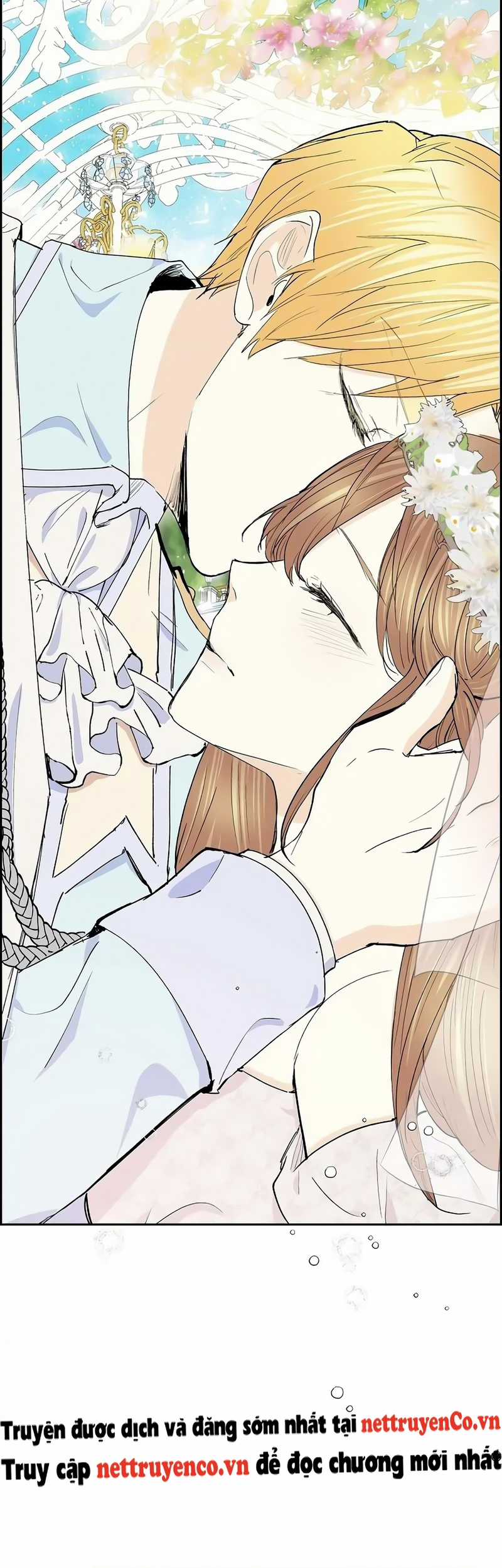 For stella - Vì Stella Chapter 52 trang 11