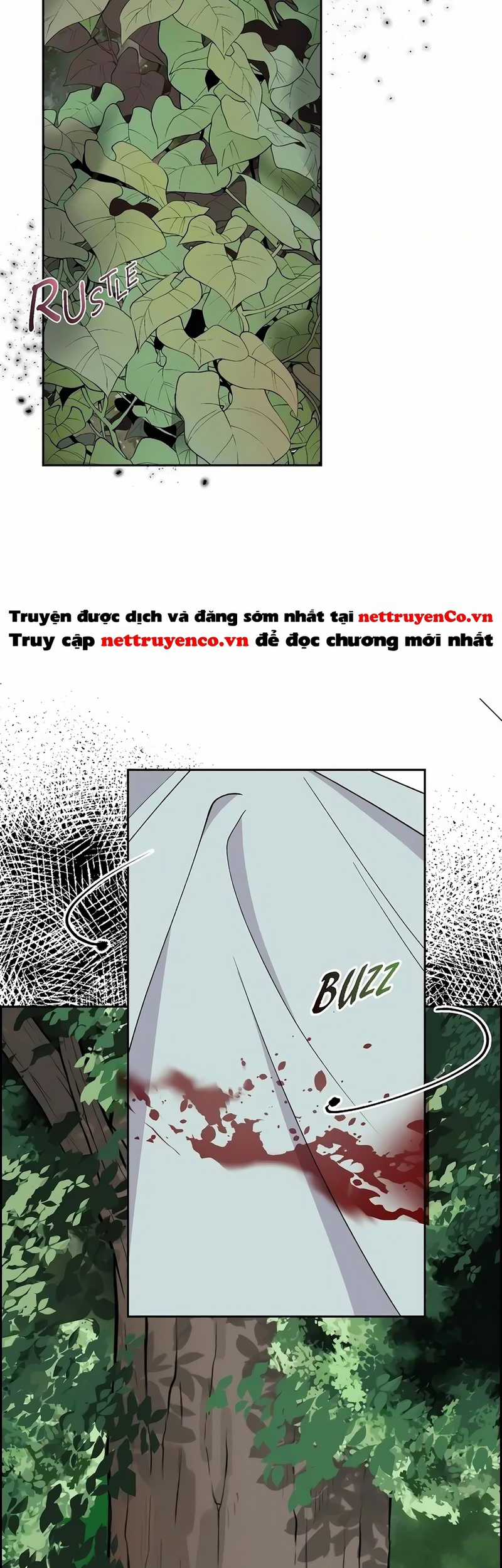 For stella - Vì Stella Chapter 70 trang 34