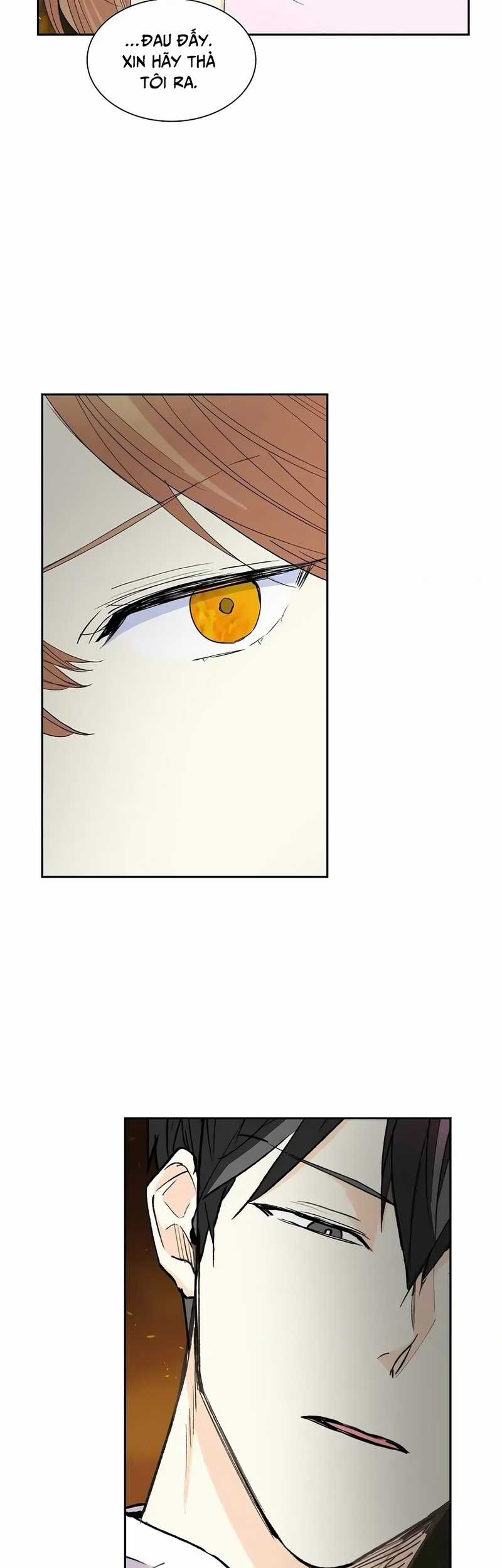 For stella - Vì Stella Chapter 72 trang 5