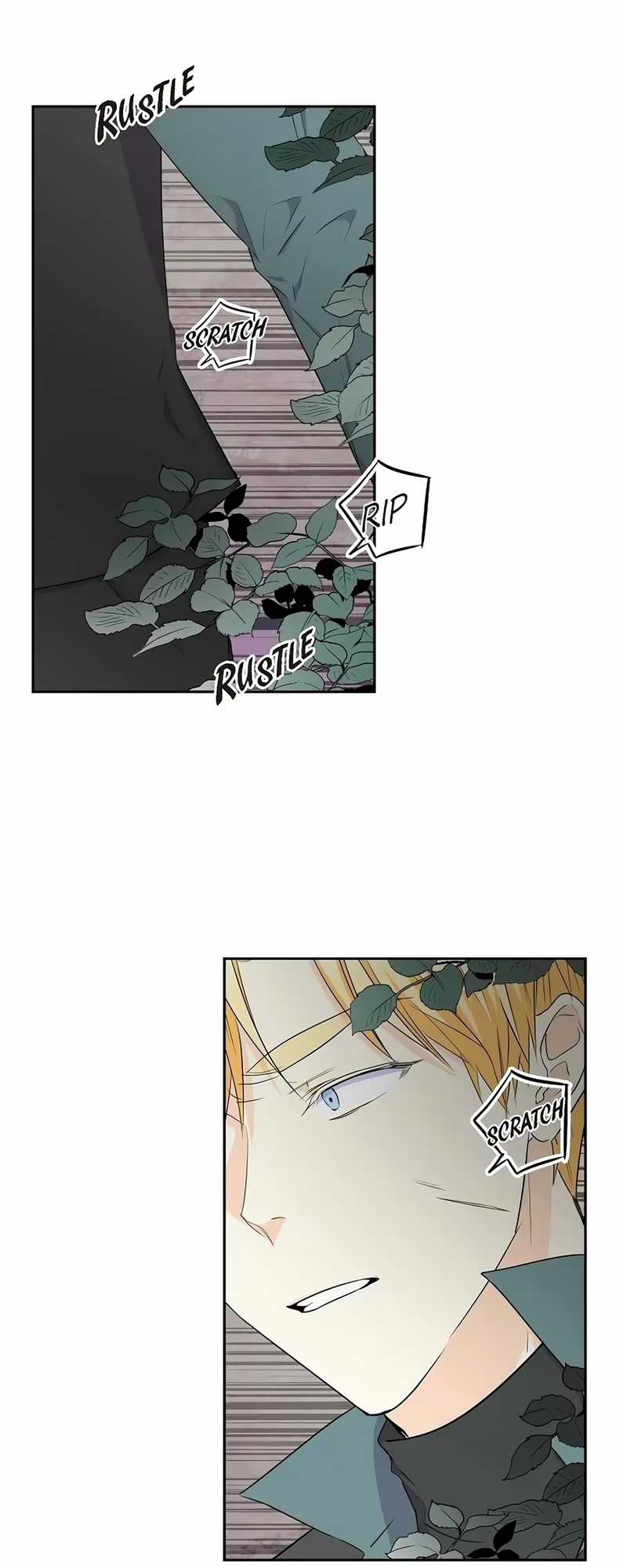 For stella - Vì Stella Chapter 75 trang 19