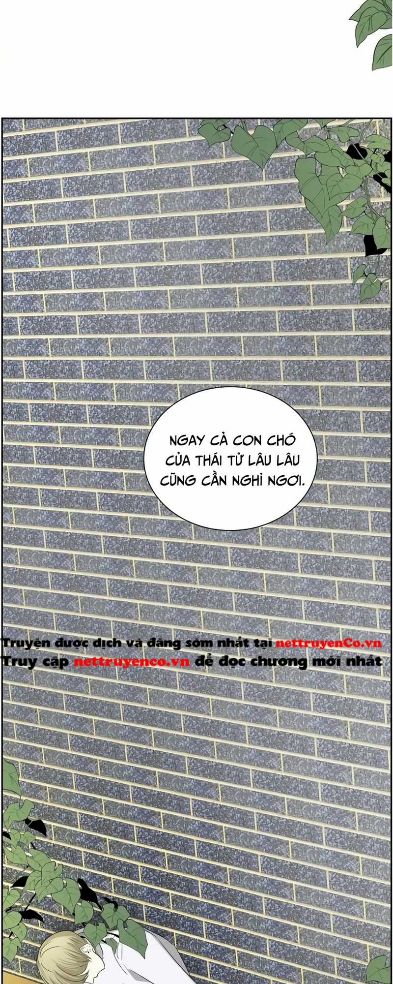 For stella - Vì Stella Chapter 80 trang 14