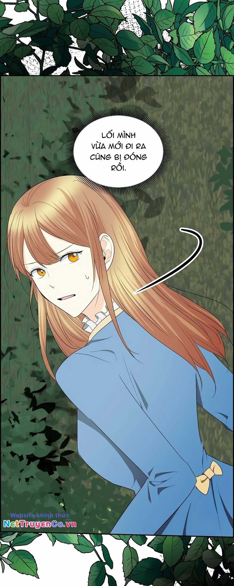 For stella - Vì Stella Chapter 85 trang 5