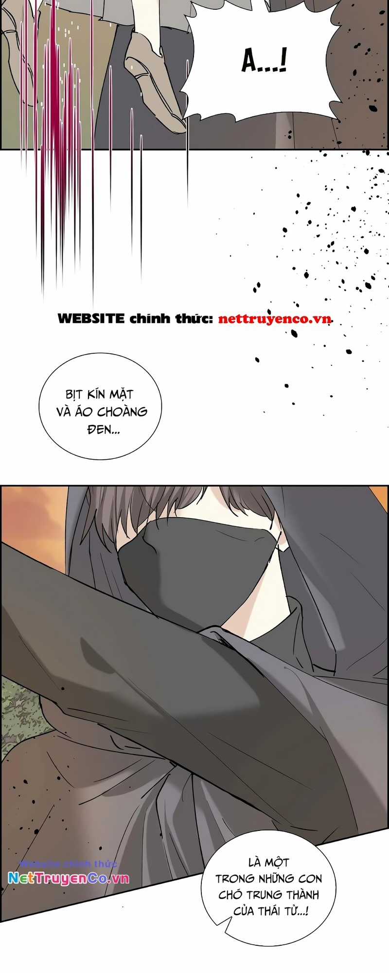 For stella - Vì Stella Chapter 90 trang 11