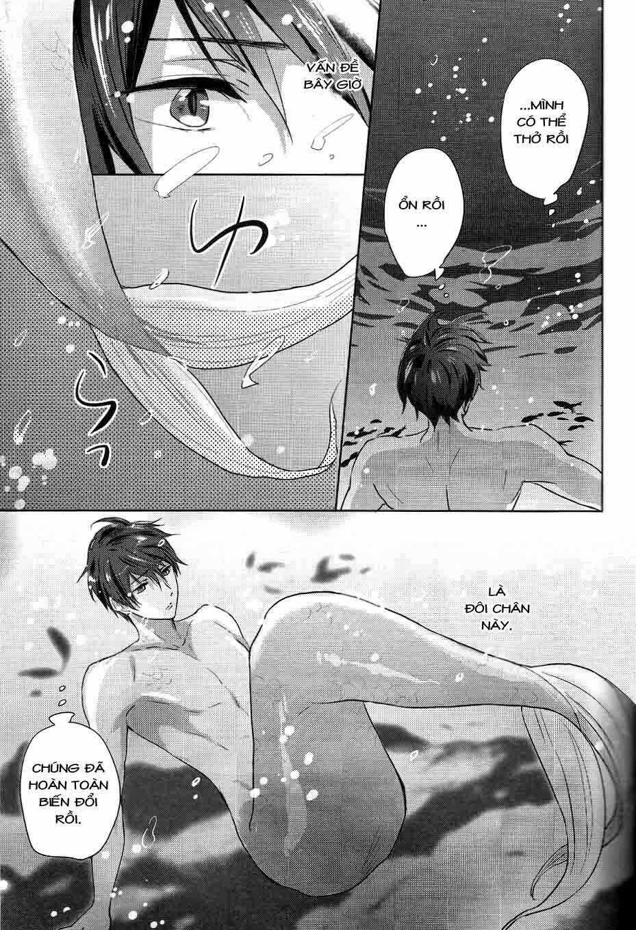 Free! dj - Umi no Mamono Chapter 1 trang 26