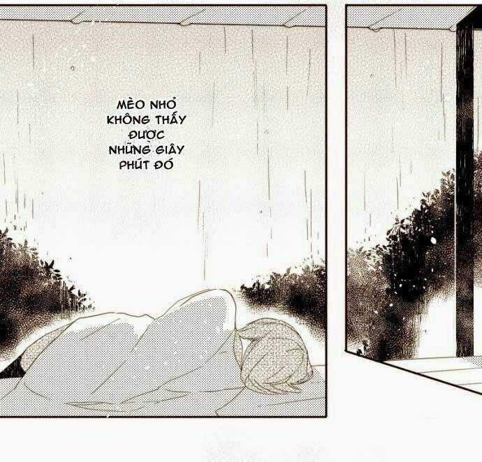 Free! Makorin Short Doujinshi Collection Chapter 3 trang 5