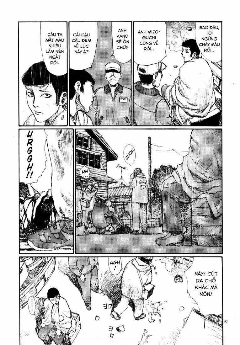 Freesia Chapter 13 trang 30