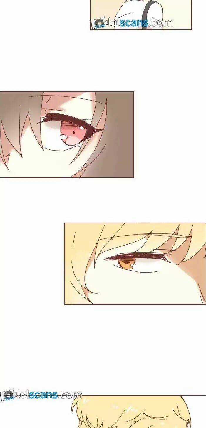 From Nightmare To Love Chapter 1 trang 14