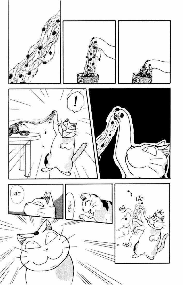 Fuku-Fuku Funya~N Chapter 13 trang 5