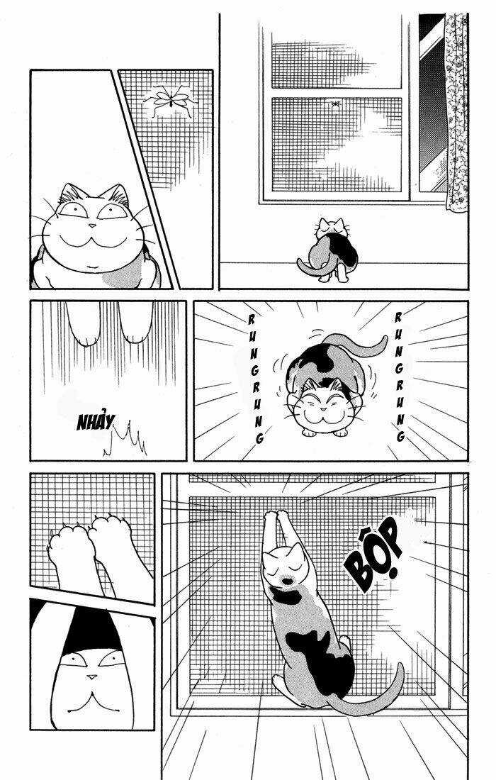 Fuku-Fuku Funya~N Chapter 20 trang 4