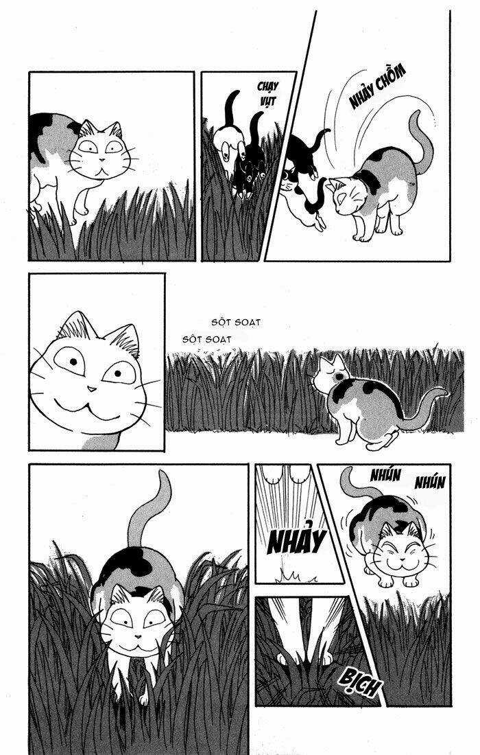 Fuku-Fuku Funya~N Chapter 21 trang 4