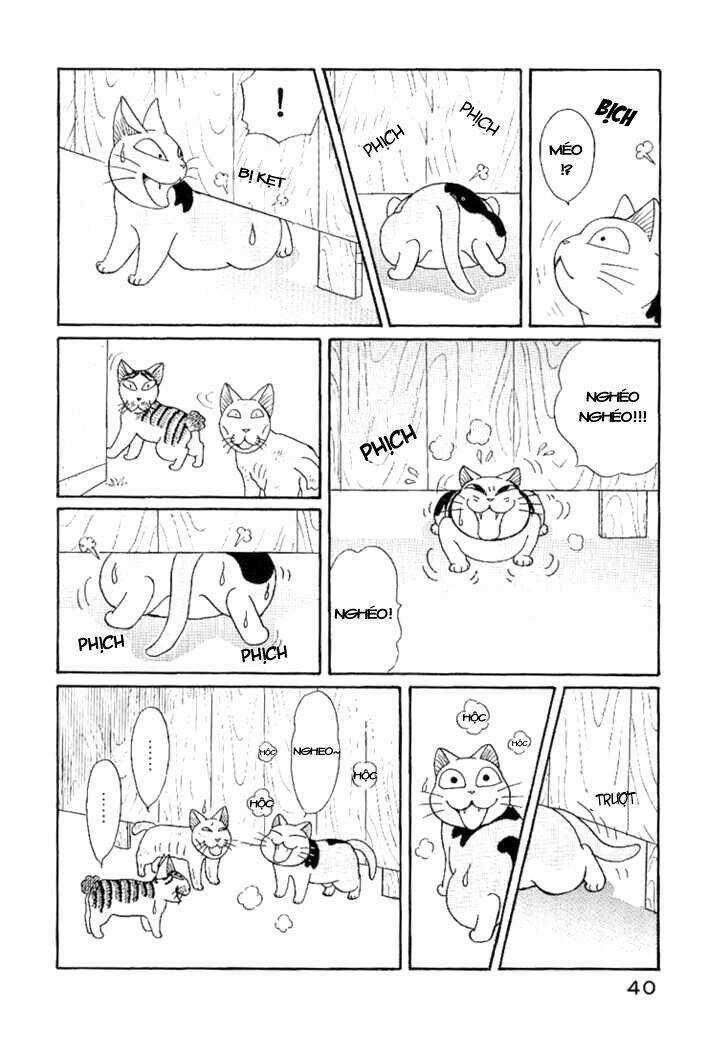 Fuku-Fuku Funya~N Chapter 7 trang 2