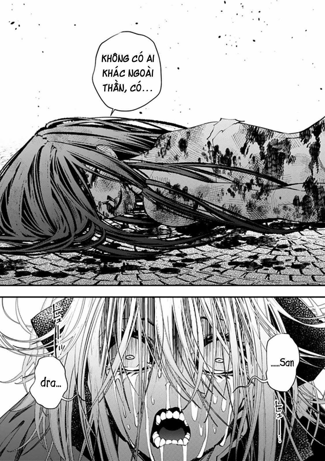 Fukushuu O Koinegau Saikyou Yuusha Wa, Yami No Chikara De Senmetsu Musou Suru Chapter 33 trang 12