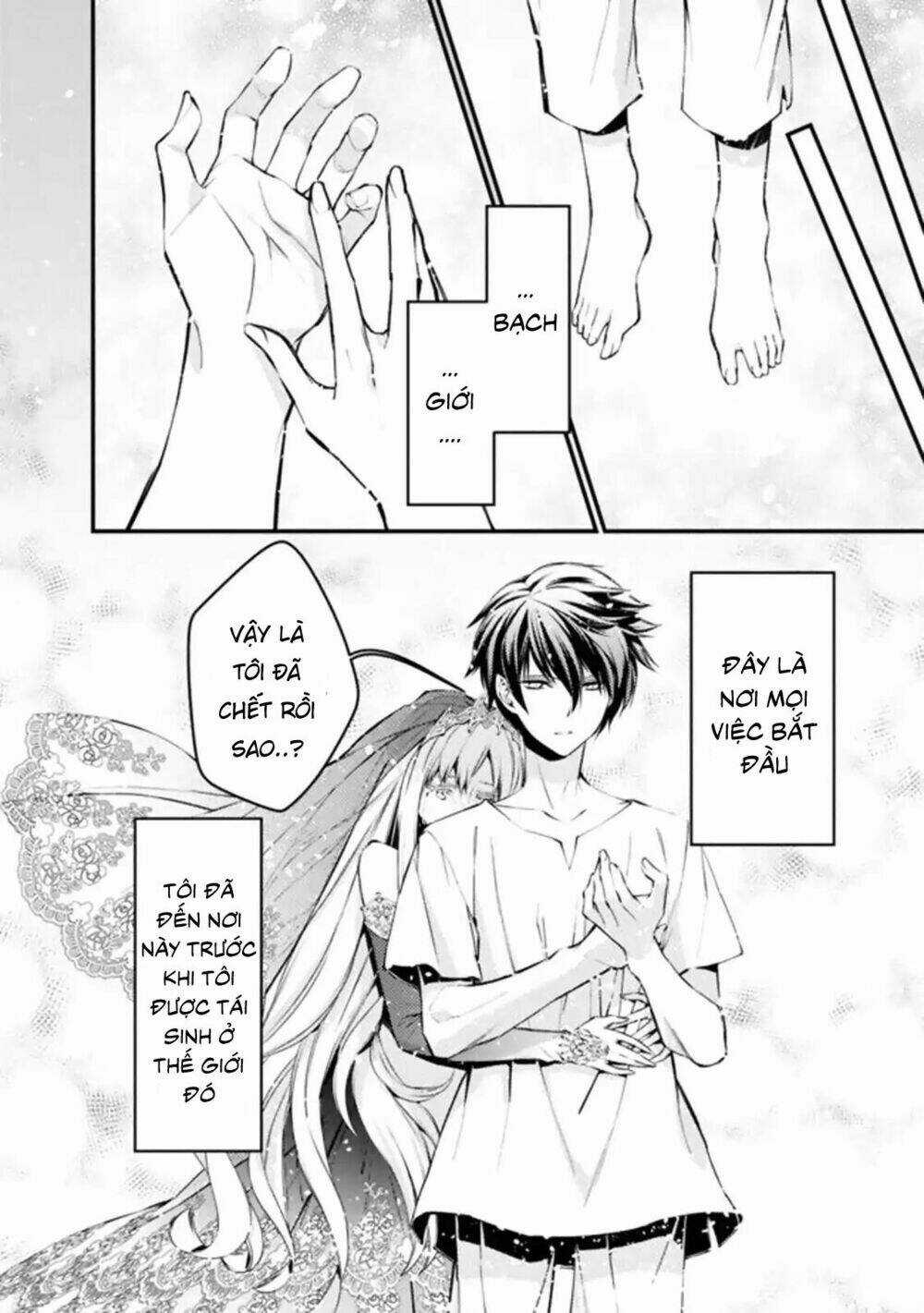 Fukushuu Wo Koinegau Saikyou Yuusha Wa, Yami No Chikara De Senmetsu Musou Suru Chapter 1 trang 4