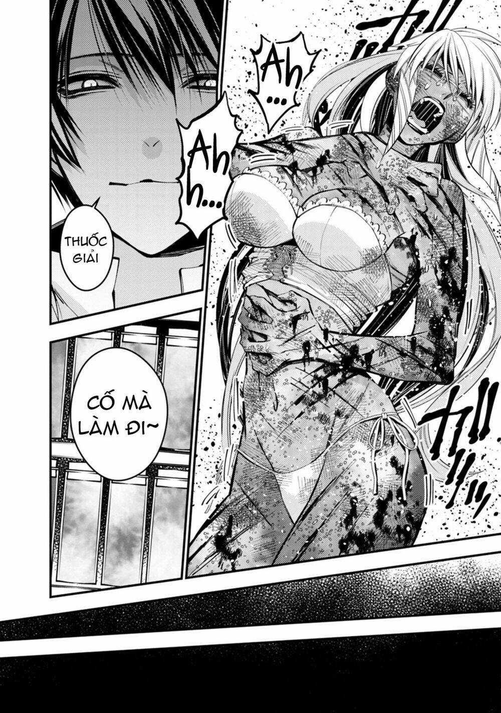 Fukushuu Wo Koinegau Saikyou Yuusha Wa, Yami No Chikara De Senmetsu Musou Suru Chapter 19 trang 13