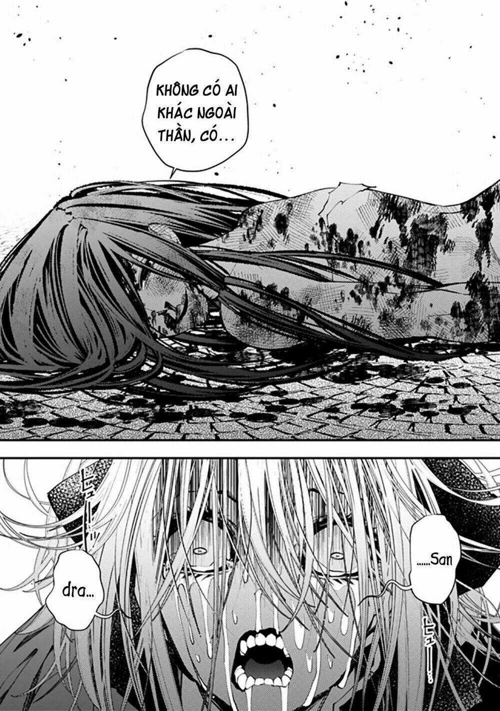 Fukushuu Wo Koinegau Saikyou Yuusha Wa, Yami No Chikara De Senmetsu Musou Suru Chapter 33 trang 12