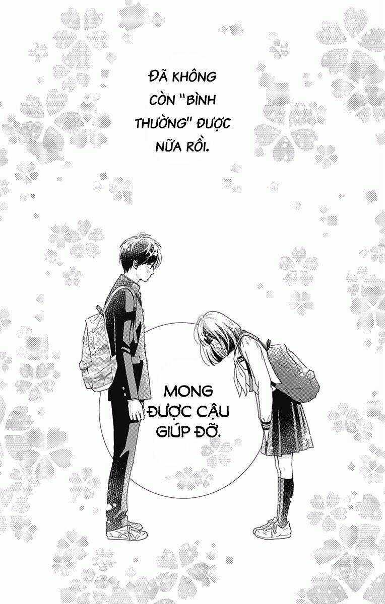 Futsuu No Koiko-Chan Chapter 26 trang 20