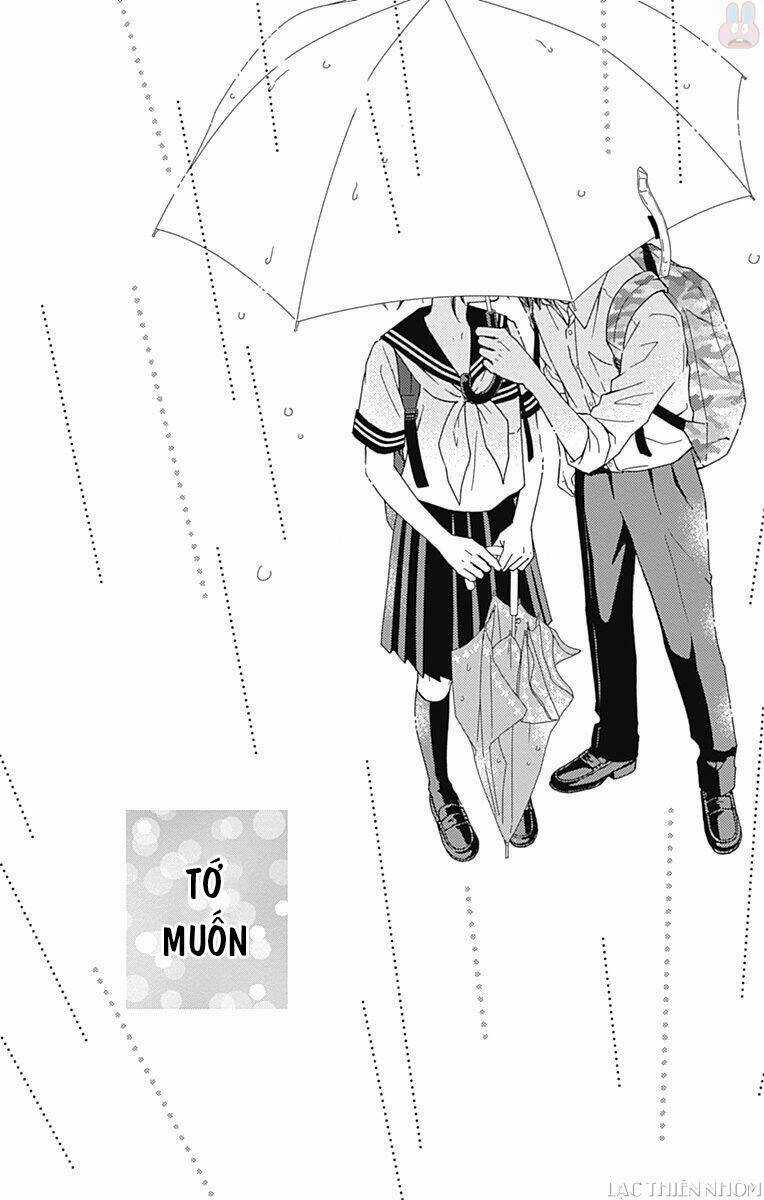 Futsuu No Koiko-Chan Chapter 30 trang 33