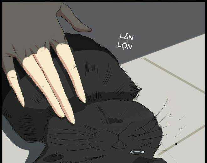 Future trial Chapter 10 trang 46