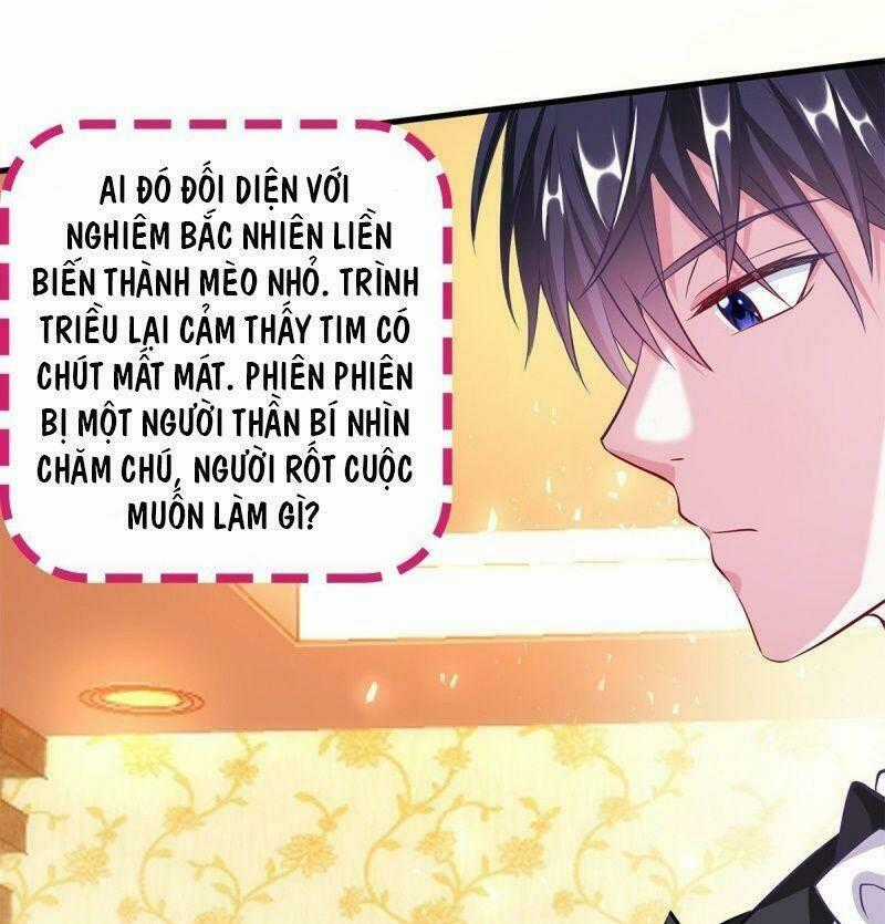Gà Cưng Nổi Tiếng Theo Đuổi Minh Tinh Chapter 9 trang 44