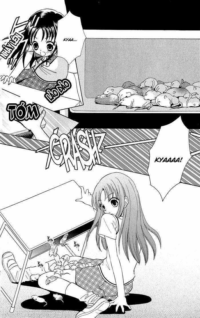 Gakkou De Atta Kowai Hanashi Chapter 3 trang 8