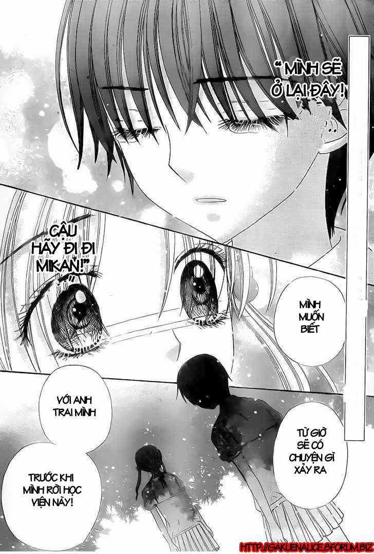 Gakuen Alice Chapter 132 trang 1