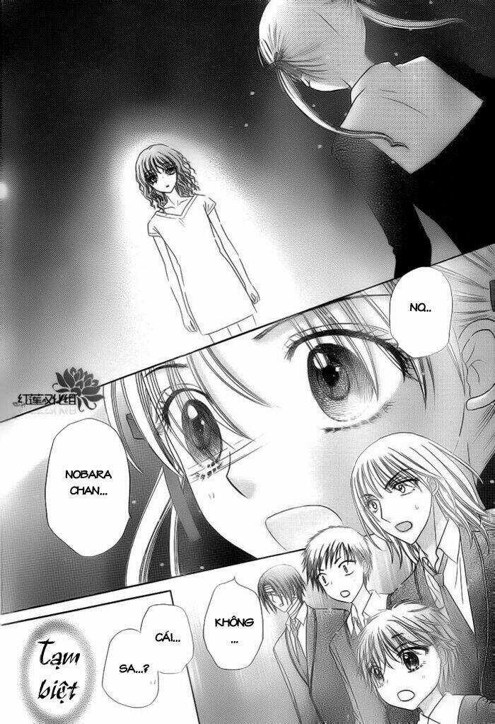 Gakuen Alice Chapter 155 trang 17