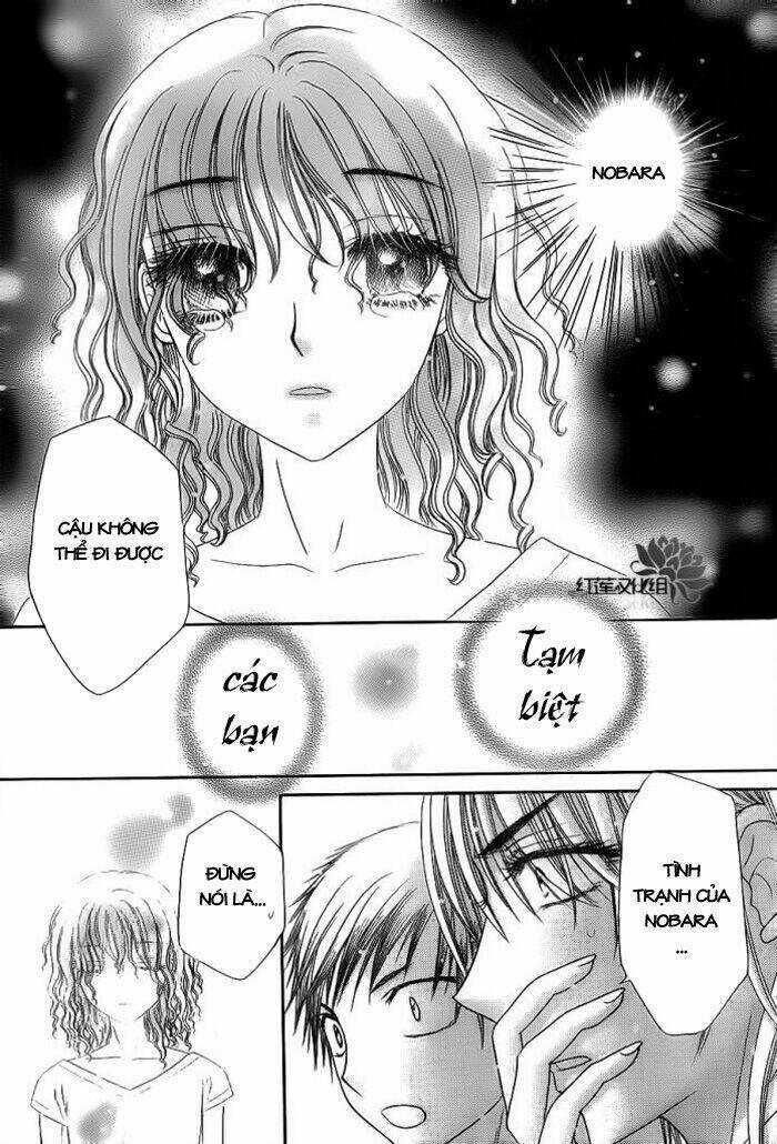 Gakuen Alice Chapter 155 trang 18