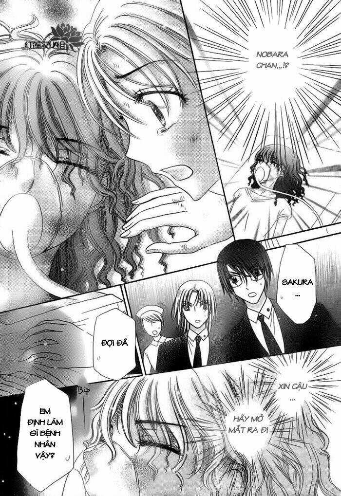 Gakuen Alice Chapter 155 trang 25