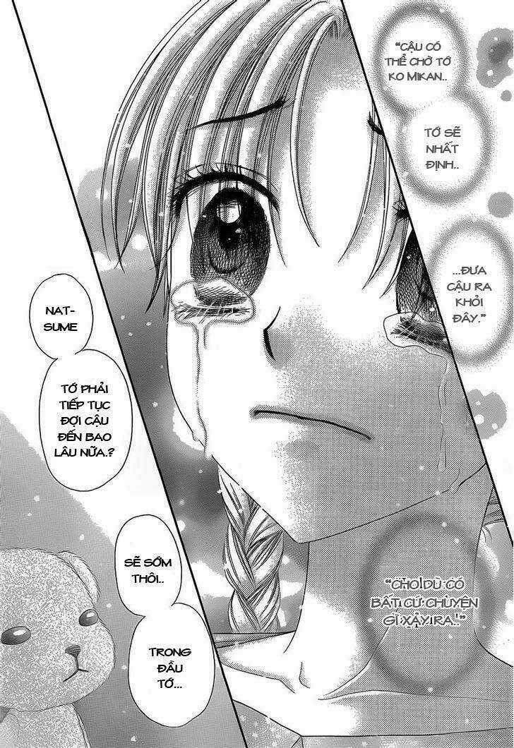 Gakuen Alice Chapter 169 trang 28
