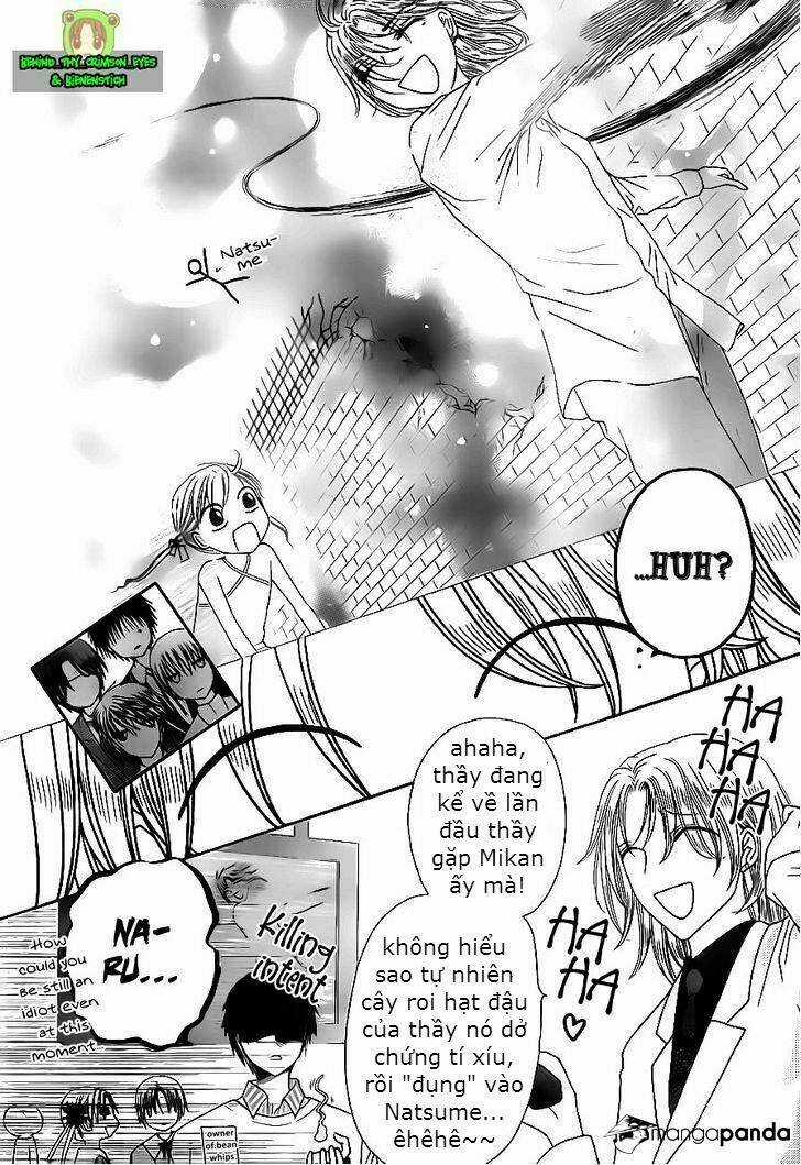 Gakuen Alice Chapter 170 trang 3