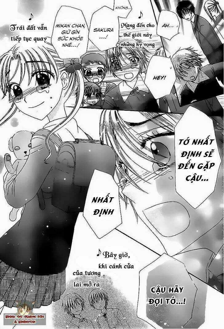 Gakuen Alice Chapter 177 trang 12