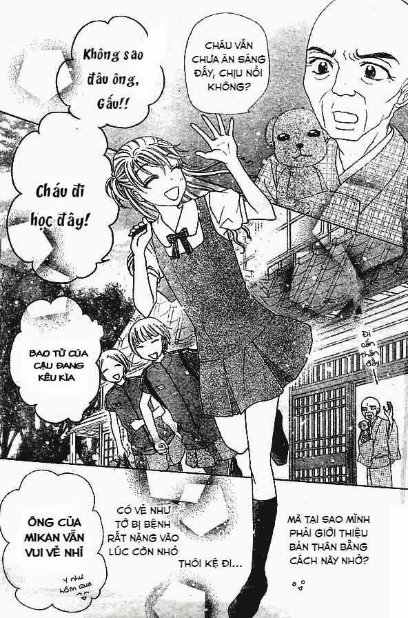 Gakuen Alice Chapter 178 trang 5