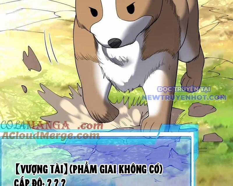 Game Online: Vì Quá Phóng Túng, Tôi Đã Trở Thành Kẻ Thù Của Cả Server Chapter 92 trang 75
