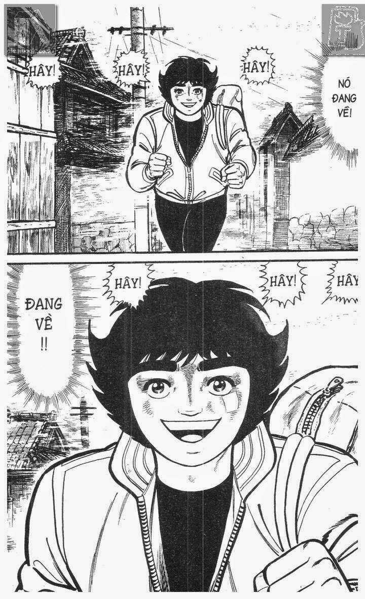 Ganbare Genki Chapter 226 trang 46