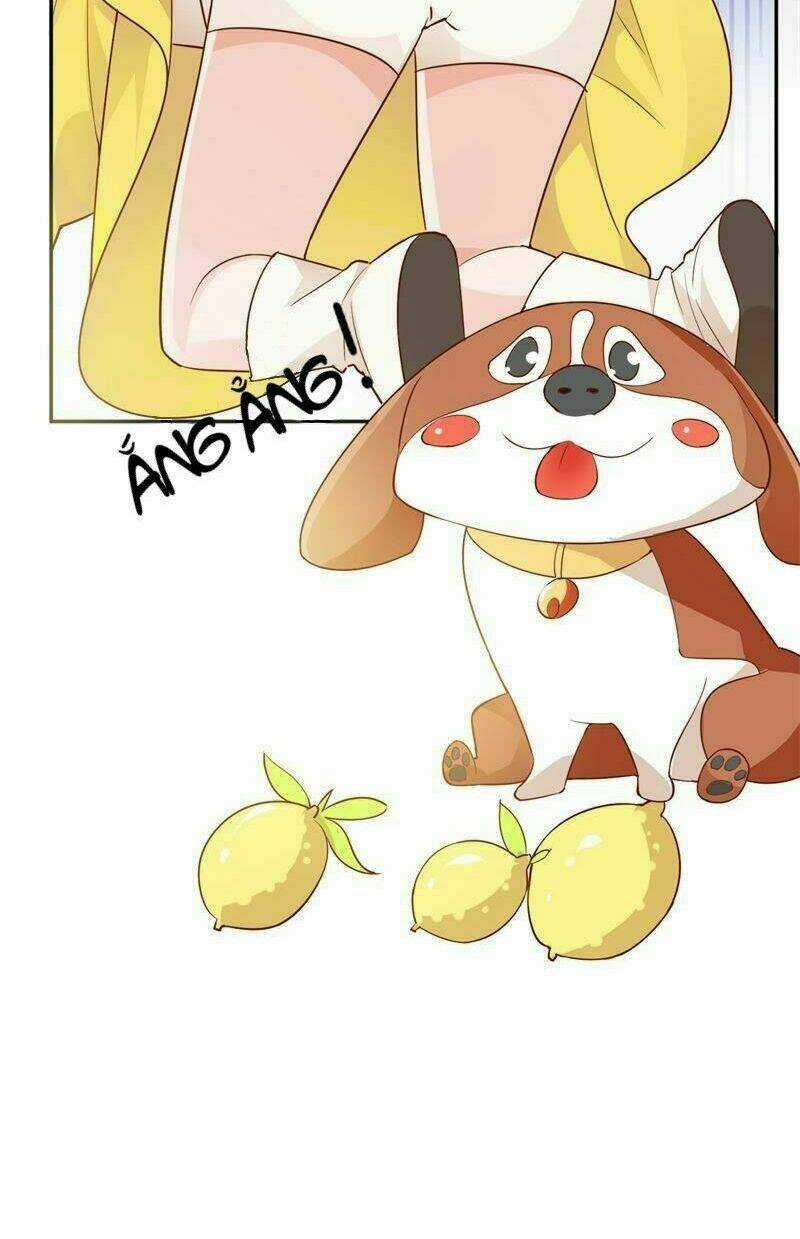 Gặp Gỡ Định Mệnh Chapter 1 trang 25