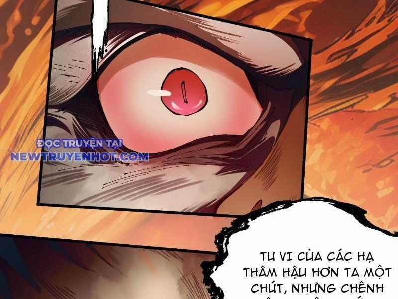 Gặp Mạnh Thì Càng Mạnh, Tu Vi Của Ta Không Giới Hạn Chapter 2 trang 12