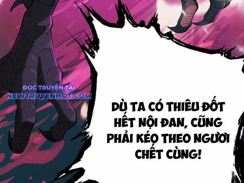 Gặp Mạnh Thì Càng Mạnh, Tu Vi Của Ta Không Giới Hạn Chapter 2 trang 24