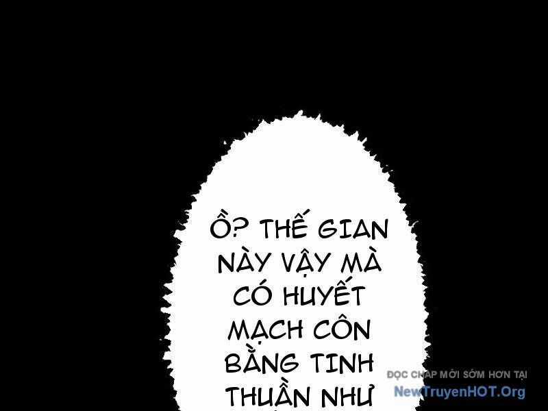 Gặp Mạnh Thì Càng Mạnh, Tu Vi Của Ta Không Giới Hạn Chương 71 trang 24