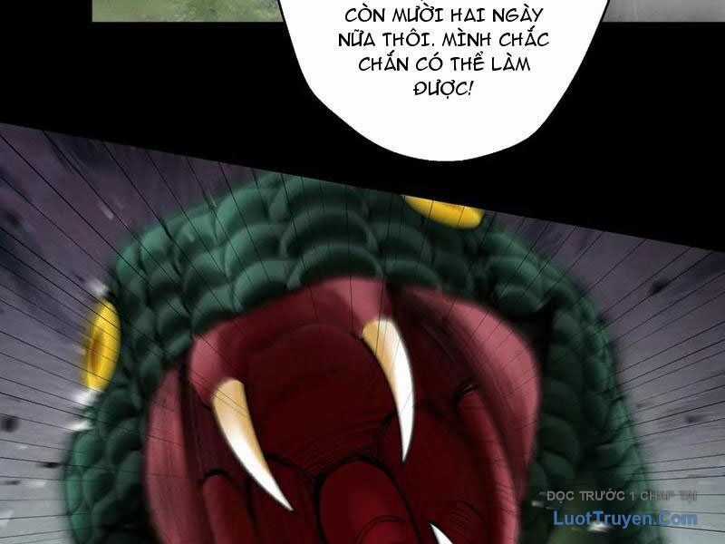 Gặp Mạnh Thì Càng Mạnh, Tu Vi Của Ta Không Giới Hạn Chương 78 trang 25