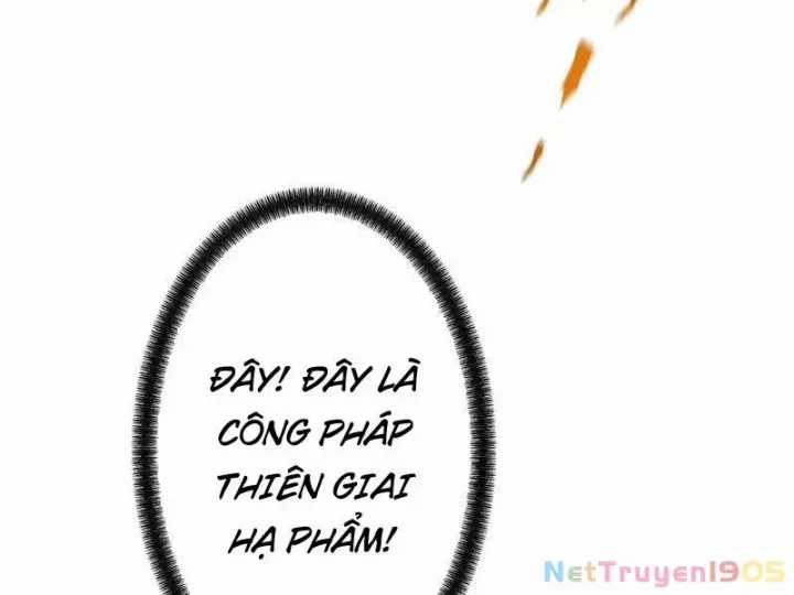 Gặp Mạnh Thì Càng Mạnh, Tu Vi Của Ta Không Giới Hạn Chương 82 trang 73