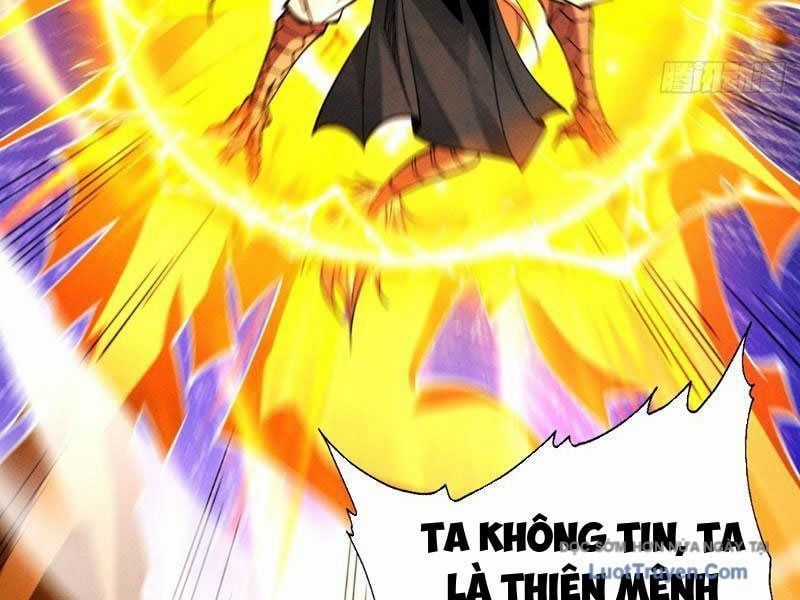 Gặp Mạnh Thì Càng Mạnh, Tu Vi Của Ta Không Giới Hạn Chương 85 trang 144