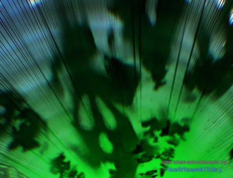 Gặp Mạnh Thì Càng Mạnh, Tu Vi Của Ta Không Giới Hạn Chương 88 trang 91