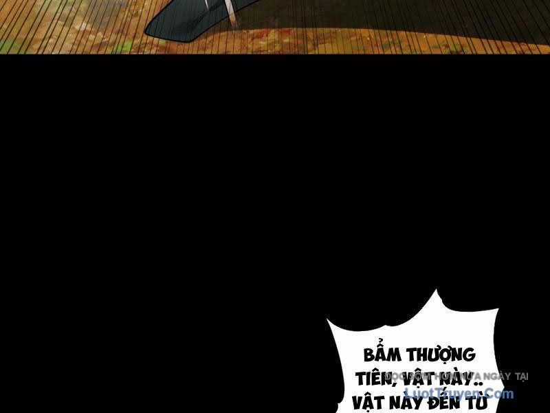 Gặp Mạnh Thì Càng Mạnh, Tu Vi Của Ta Không Giới Hạn Chương 89 trang 114