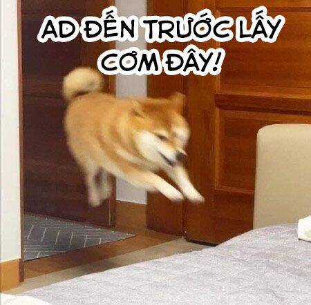 Gate - Jietai Kare No Chi Nite, Kaku Tatakeri Chapter 107 trang 31