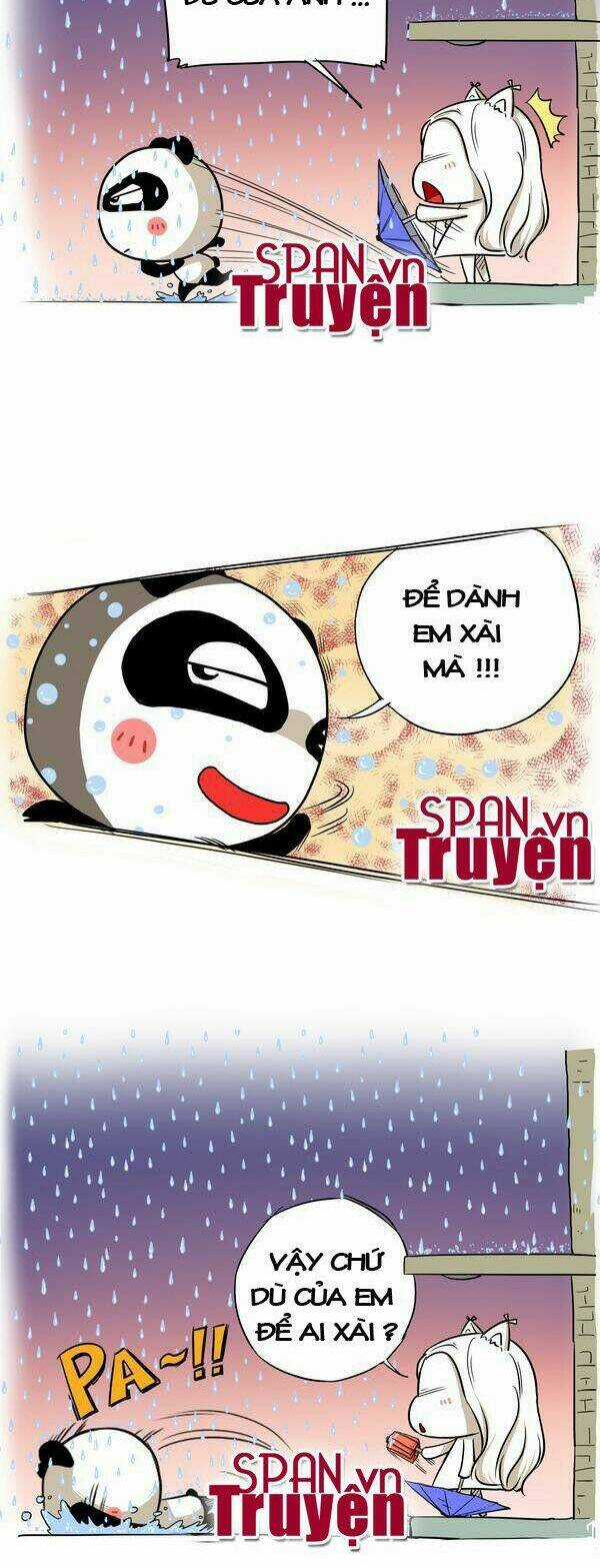 Gấu Ngốc Và Những Người Bạn Chapter 14 trang 3