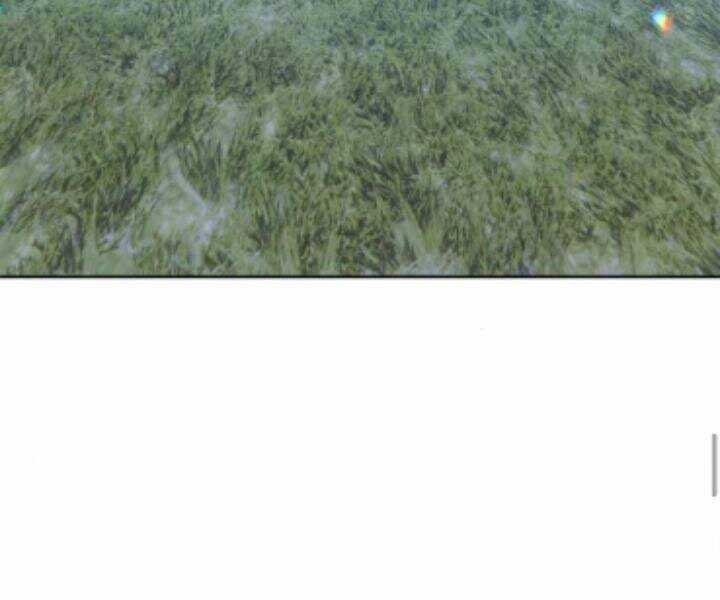 Gậy Gỗ Cấp 99+ Chapter 10.5 trang 244