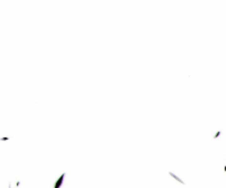 Gậy Gỗ Cấp 99+ Chapter 10.5 trang 282